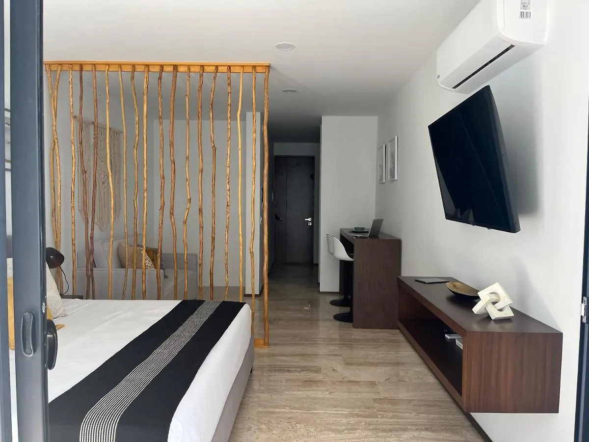 Menesse Midtown 2 206 Y 209 Apartment Playa del Carmen