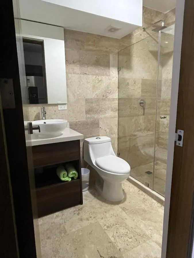 Menesse Midtown 2 206 Y 209 Apartment Playa del Carmen