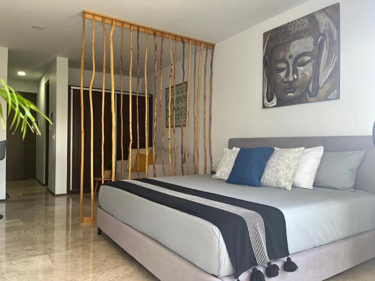 Menesse Midtown 2 206 Y 209 Apartment Playa del Carmen 0*,