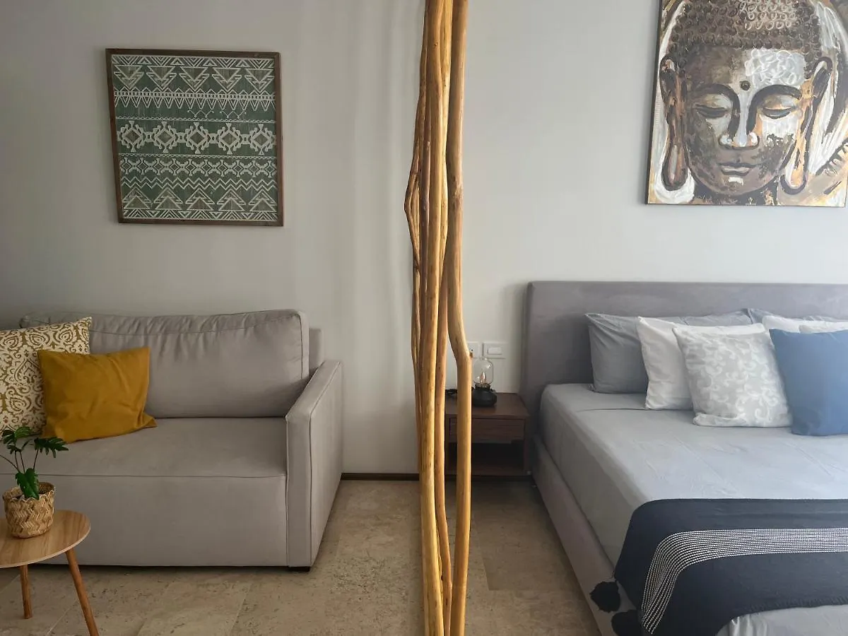 Menesse Midtown 2 206 Y 209 Apartment Playa del Carmen